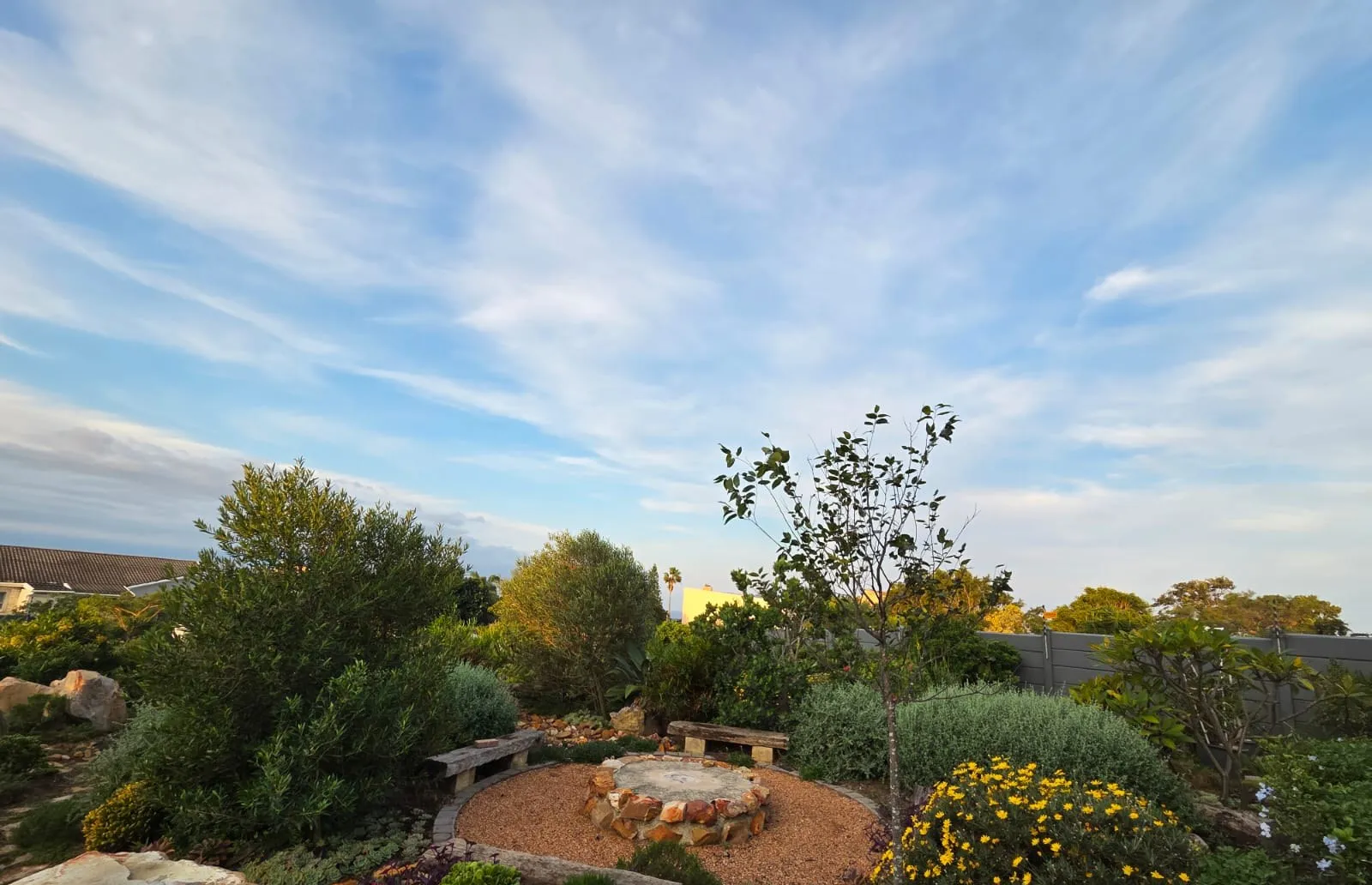 Wooden benches around a round seating area in an indigenous coastal garden with yellow flowers