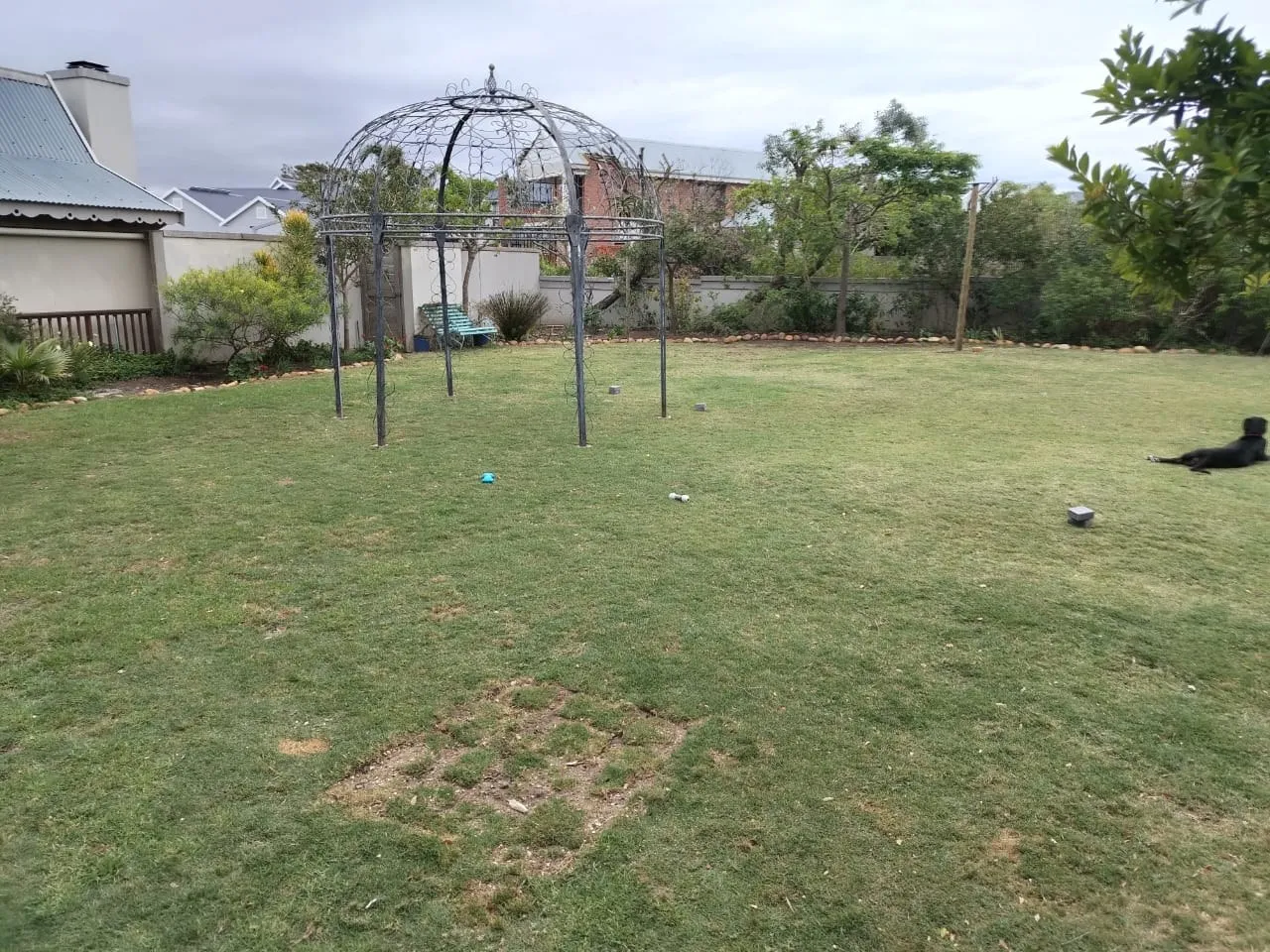 A healthy green lawn in a landscaped garden with a metal gazebo