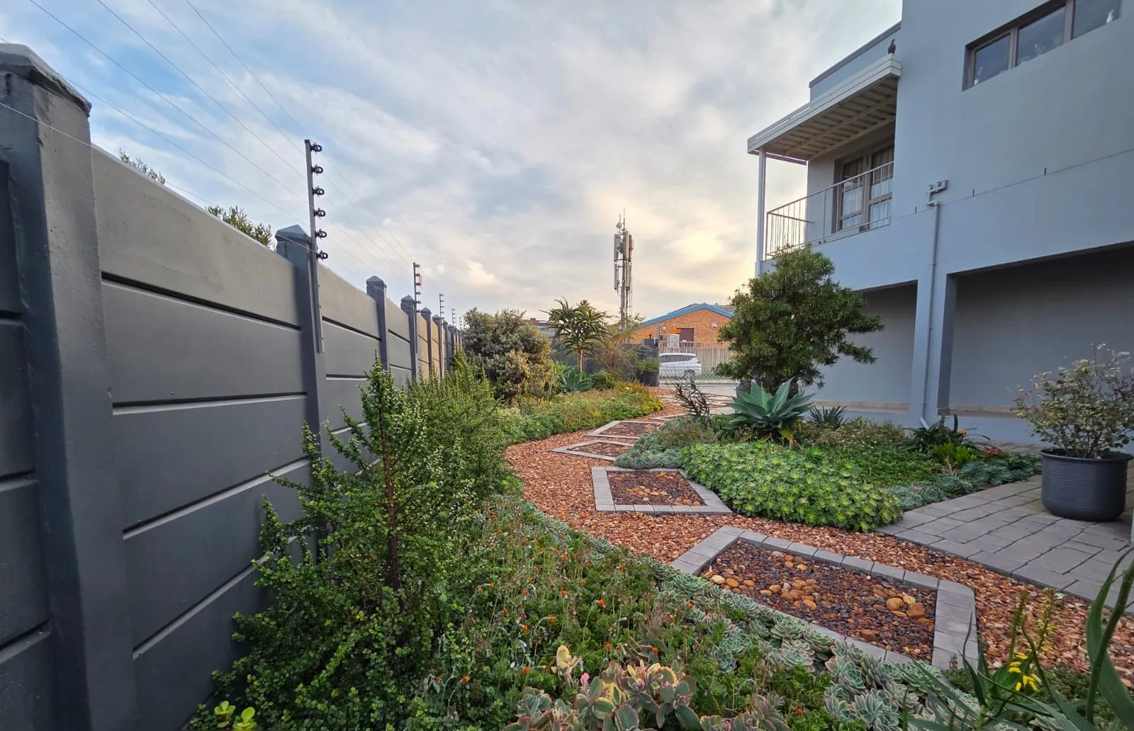 A neat garden path lined with healthy planting beside a modern house