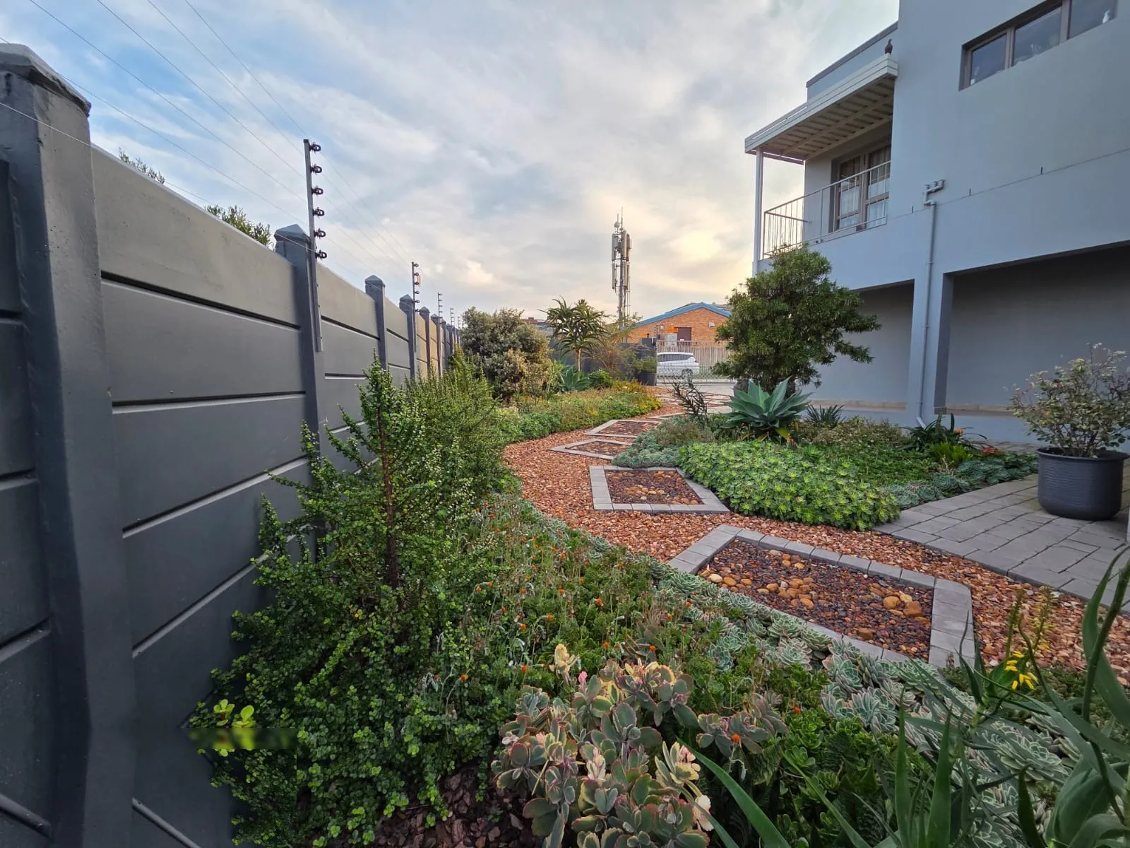 A narrow side garden transformed with indigenous groundcovers and gravel mulch in Jeffreys Bay