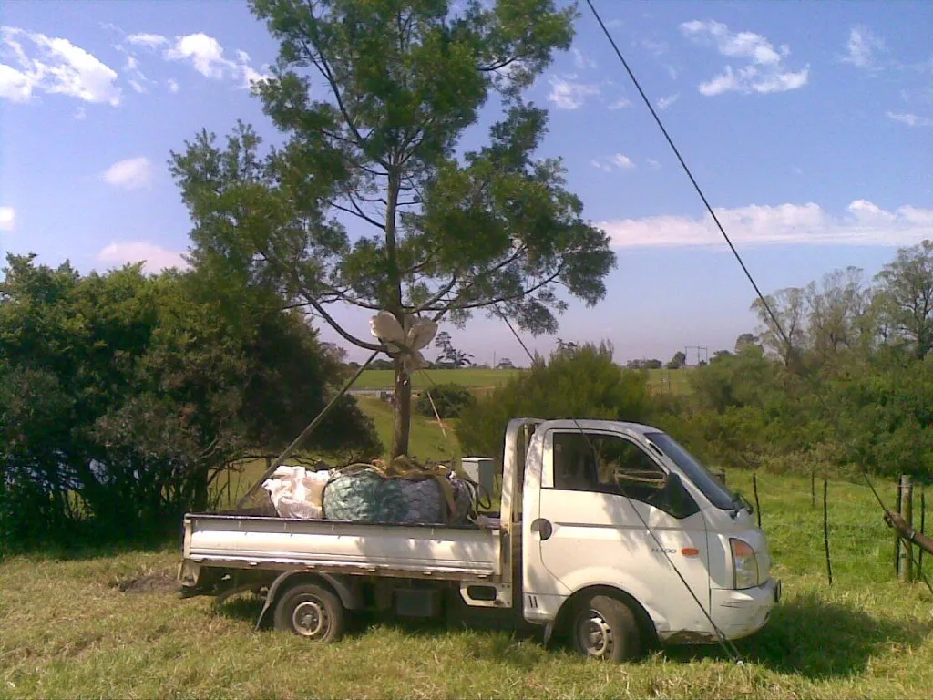 A bakkie loaded with a young tree and plants for delivery